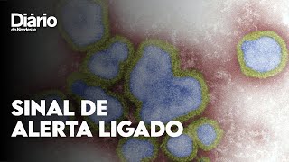 Vírus Influenza H3N2 quais os sintomas e como se prevenir [upl. by Durrace]