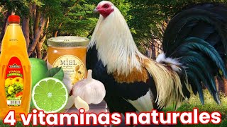 VITAMINAS Y MINERALES Para Gallos Finos de Primer Nivel  Red Cell para Gallos [upl. by Anibas108]