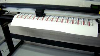 Mutoh valuejet VJ48 1204 amp Graphtec FC8000 Q54 [upl. by Ahswat]