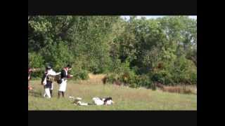 Oak Forest Event Napoleonic battles [upl. by Cailly620]