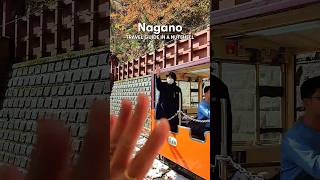 Nagano travel guide for your Japan autumn trip 🍁 nagano japan japantravel japantrip japantips [upl. by Ecam]