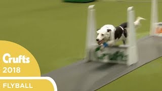 Flyball  YKC Final  Crufts 2018 [upl. by Idolla]