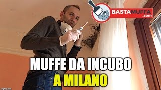 Muffe da Incubo a Milano  Video valutazione con Test della muffa [upl. by Heimer]