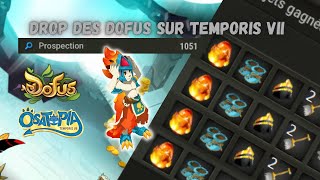 Temporis 7 Tout Savoir Sur Le Drop Des Dofus [upl. by Frederica]