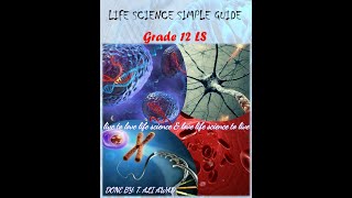 chromosomal abnormalities numerical part 2 LS [upl. by Letizia]