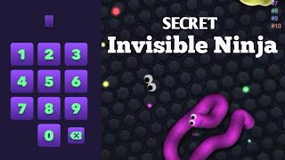 Slitherio INVISIBLE NINJA RELEASE 100 WORK and New Secret Code Epic slitherio GamePlay [upl. by Niamart]