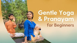 Easy Yoga Asanas amp Pranayama  30 Minutes  Hatha Asanas amp Anulom Vilom Pranayama [upl. by Sekyere1]