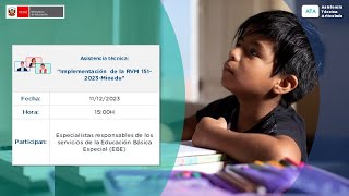 ATA Implementación de la RVM 1512023Minedu [upl. by Hanoy]