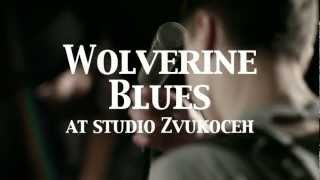 Wolverine Blues Promo 2012 [upl. by Akinnor]