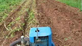 Ransomes MG5 Crawler and our Potatoes 2011 [upl. by Marketa]