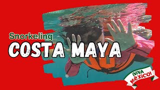 Snorkeling in Mahahual Costa Maya Cruise Port [upl. by Aliet]