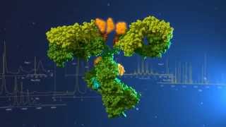 Antibody Drug Conjugates Characterization [upl. by Denney]