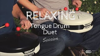 Relaxing Steel Tongue Drum Duet  Beat Root [upl. by Kceb928]