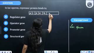 In lacoperon repressor protein binds to [upl. by Franci394]