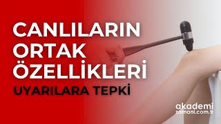 Canlıların Ortak Özellikleri 6  Uyarılara Tepki  TYT Biyoloji  yks2024 [upl. by Edmunda]