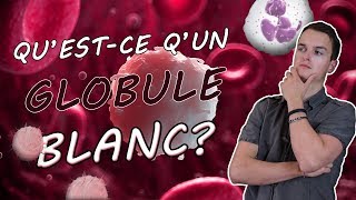 QUESTCE QUUN GLOBULE BLANC [upl. by Gayla]