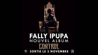 Fally Ipupa  One Love  Control [upl. by Eerot]