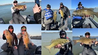 The Buffalo SMALLMOUTH SLAM 2024 Lake Erie [upl. by Llennej]