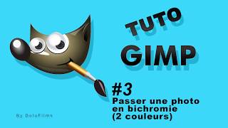 Tutoriel GIMP Comment passer une photo couleur en bichromie [upl. by Ednalrym]