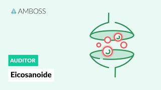 Eicosanoide  Was haben Prostaglandine Thromboxane und Leukotriene gemeinsam  AMBOSS Auditor [upl. by Anihpesoj188]