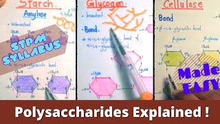 Formation amp Functions of Polysaccharides 12 Carbohydrates STPM Biology Term 1 SRP Biology [upl. by Aikcin869]