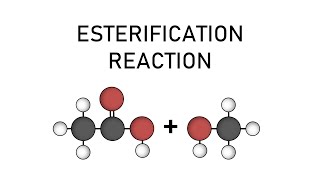 Esterification Reaction Animation  Organic Chemistry  shorts [upl. by Carmelita721]