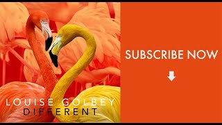 Different  Louise Golbey Official Music Video [upl. by Baecher]