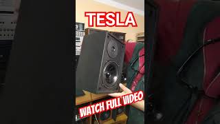 tesla DOUBLE MAGNET speaker sound test Angelicaaudio [upl. by Aw]