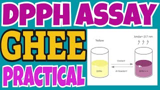 Antioxidant assay by DPPH Method II Free radical scavening activity ghee samples [upl. by Upton658]