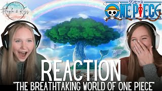 The Breathtaking World Of  ONE PIECE  Reaction 💕 [upl. by Trainer]