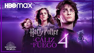 Thestrals  Harry Potter and the Order of the Phoenix HD [upl. by Xenia]