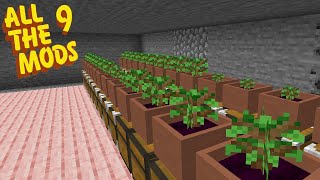 Tree Farm  EP68  All The Mods 9 Minecraft [upl. by Ellimac917]