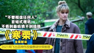 女警接到连环杀人案，死者都是女性，她们的共同特征让她很害怕。。。2021网飞出品神作改编悬疑惊悚推理剧《寒栗 Kastanjemanden》全集解说 [upl. by Ayalat]