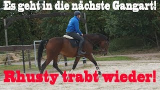 Rhusty TRABT WIEDER  Es geht voran  MA Chevaux De Sport [upl. by Odo]