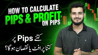 What is Pip in Forex Trading  How to Calculate per Pip Profit amp Loss [upl. by Dahl]