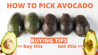 How to Pick Avocado  Tips for buying perfect avocados at the store [upl. by Jamie51]