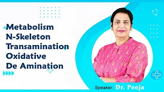 Metabolism NSkeleton Transamination Oxidative amp De Amination By Dr Pooja For MBBS 1st Proff [upl. by Lindblad376]