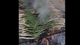 ZwiebelWettessen beim CalçotFestival in Valls Spanien [upl. by Eissej]