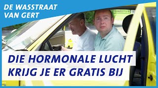 Hoe kun je het best het interieur van jouw auto schoonmaken  De Wasstraat van Gert  ANWB [upl. by Ahsyt]