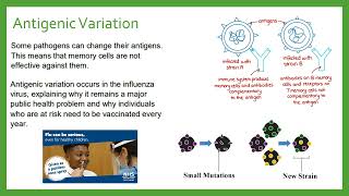 Antigenic Variation [upl. by Novanod586]