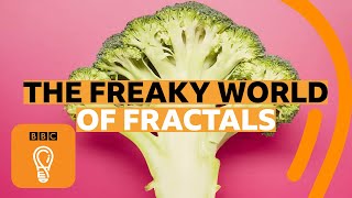 How fractals can help you understand the universe  BBC Ideas [upl. by Hock]