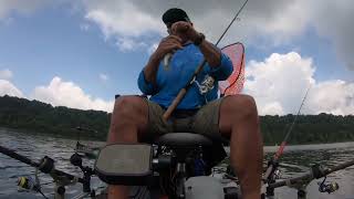 Summertime Crappie Fishing at Taylorsville Lake [upl. by Mccall]