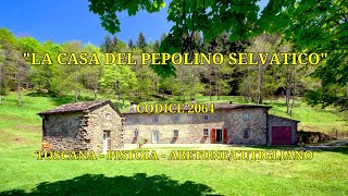 La CASA del PEPOLINO SELVATICO  Casale in Vendita a Abetone Cutigliano PT con giardino RIF 2064 [upl. by Ogden]