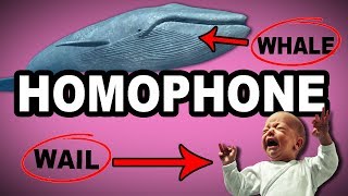 🐳😭 Learn English Words  HOMOPHONE  Meaning Vocabulary with Pictures and Examples [upl. by Ertnod]