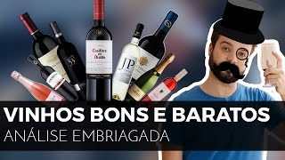 17 vinhos bons e baratos  Cabernet Merlot Espumante Branco Tinto e [upl. by Sully756]