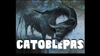 Dungeons and Dragons Lore Catoblepas [upl. by Franciscka]