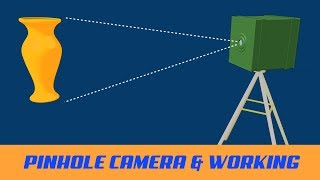 What is a Pinhole Camera and How does it work  Class 11  Studious 3d Animation [upl. by Bartel]