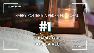 AUDIOLIBRO Harry Potter y la piedra filosofal  8 El Profesor de Pociones [upl. by Neural]