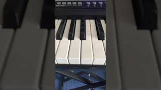 How to play seven nation army on piano 🎹 [upl. by Nerrol69]