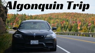 Algonquin Park Car Camping Trip in a M5 [upl. by Ahsyad508]